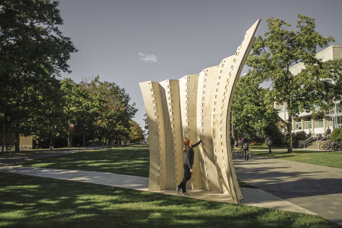 Active Timber: Folded plate structure in a park
