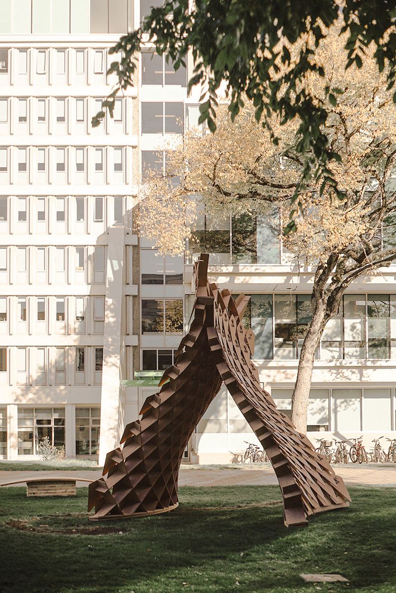 Dragon Skin Pavilion: Pavilion on the UBC campus lawn