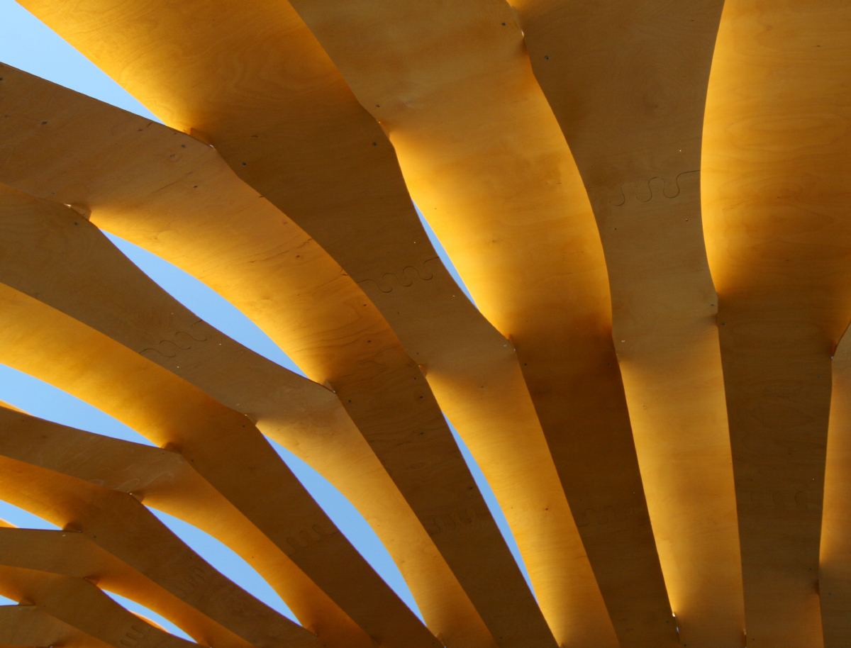 ICD/ITKE Research Pavilion 2010: Bent plywood strips seen against the sky