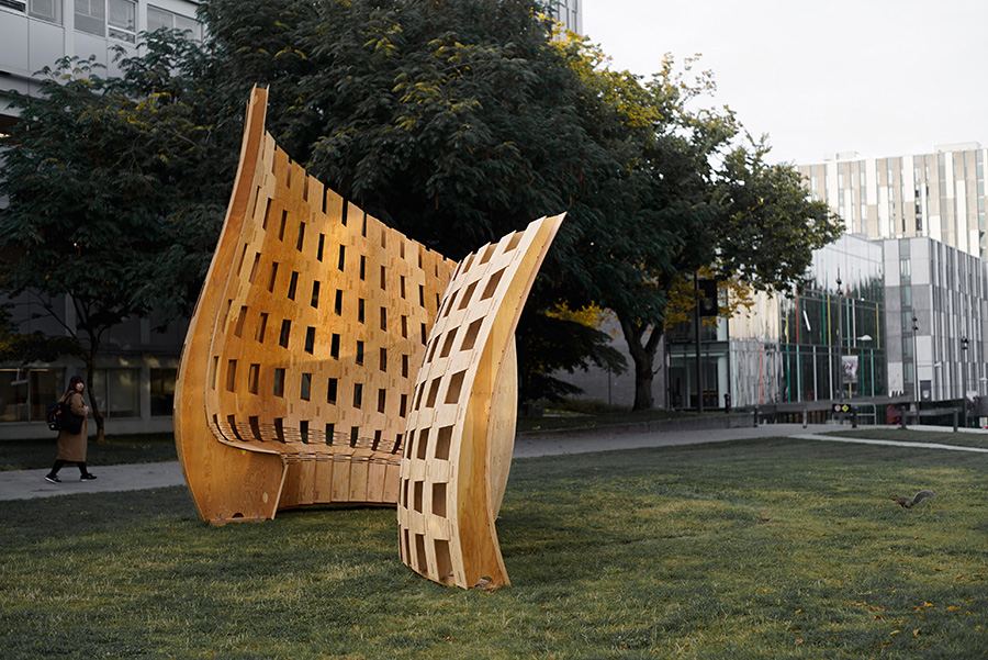 Wander Wood Pavilion: Curved timber surface on the lawn